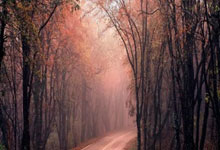 妙在自由 贵在包容(体坛观澜)人民日报.