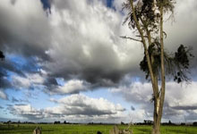 B体育官网:一图看懂:《2024中国路跑工作报告》.