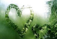 B体育官网:被中圈绝杀!詹姆斯主动揽责:我犯了糟糕的失误 对公牛脱帽致敬.