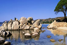 获2034年世界杯主办权 沙特要展现雄心壮志.